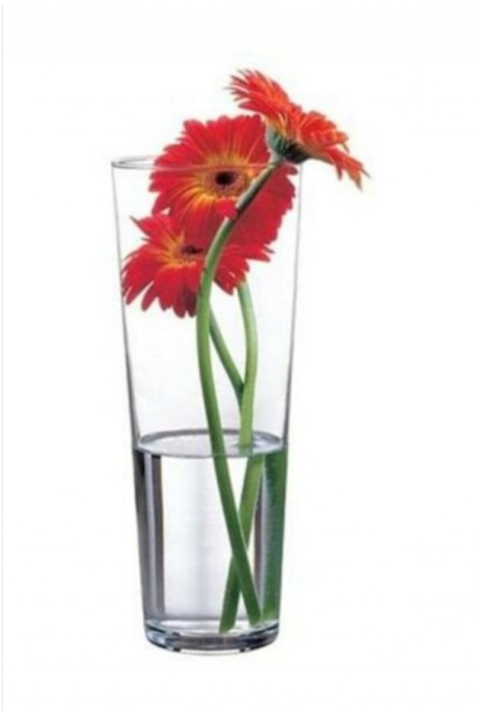 Paşabahçe cam vazo - botanica vazo 26 cm – görsel 1